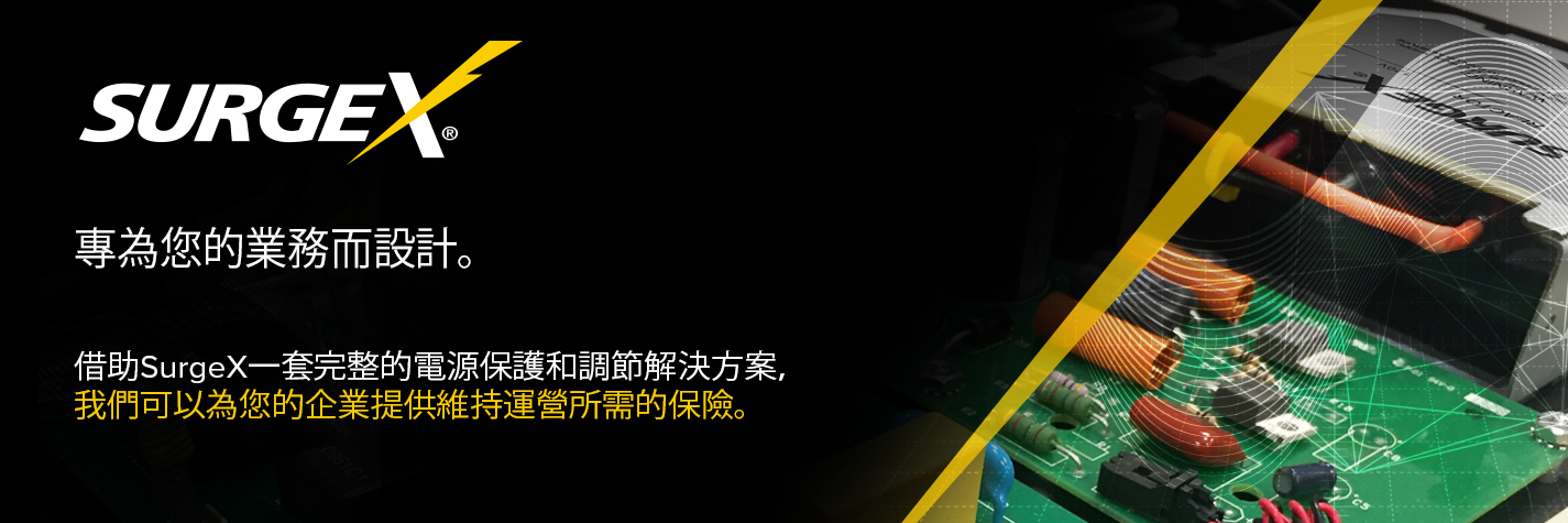 SurgeX Pro AV Surge Protection